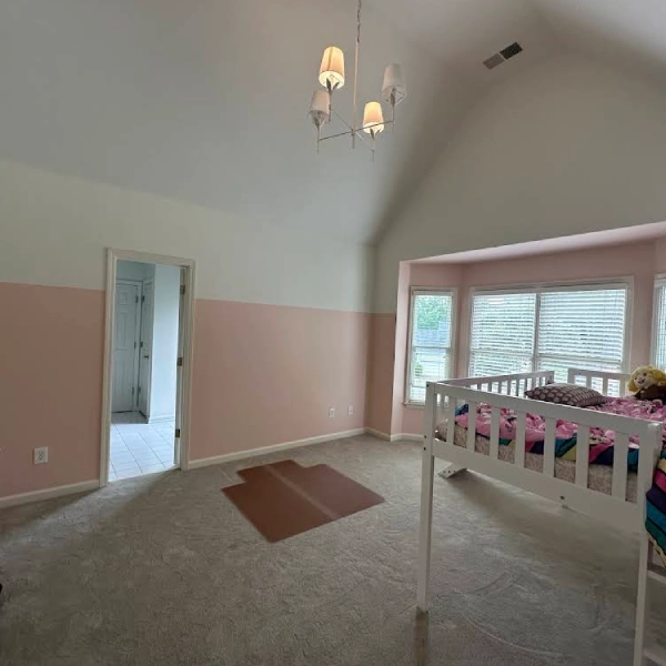 Professional Painting